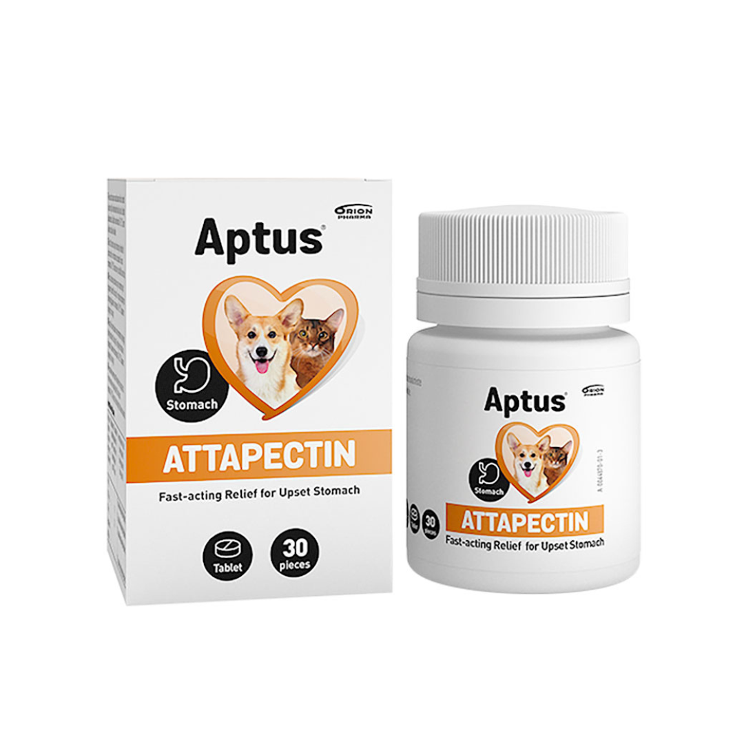 Attapektin-Tabletten für gereizten Magen und Darm