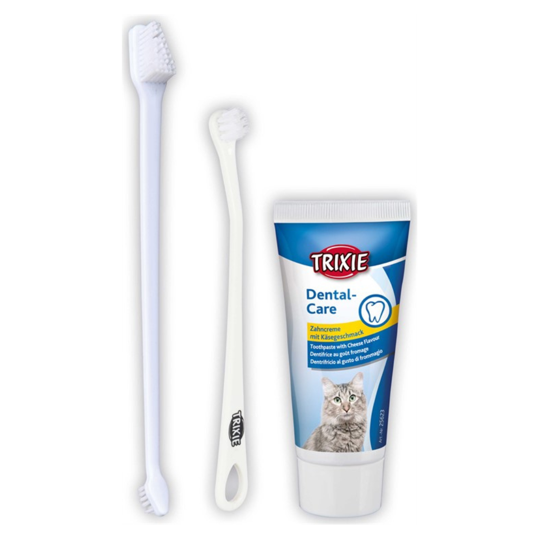 Zahnpflegeset für Katzen