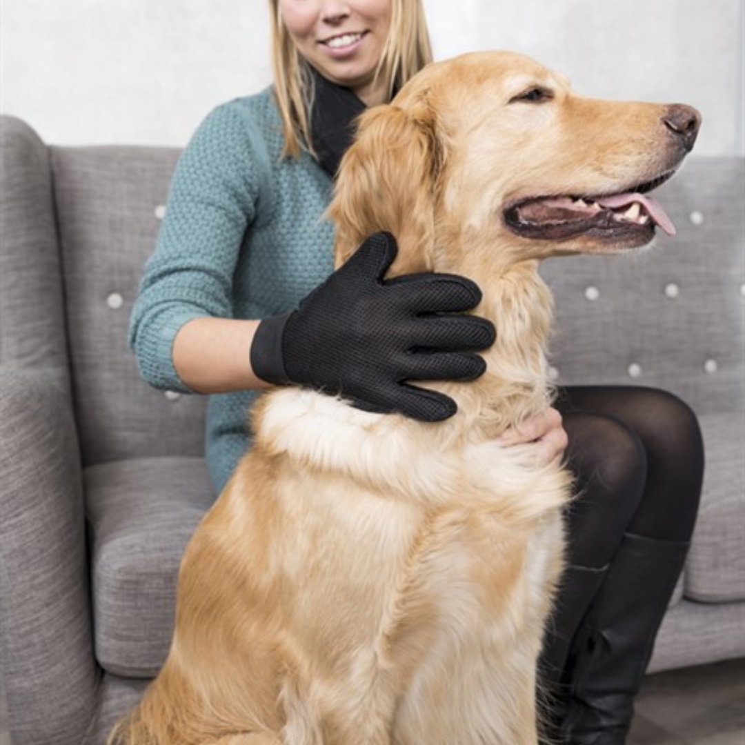 Pälshandske Blå